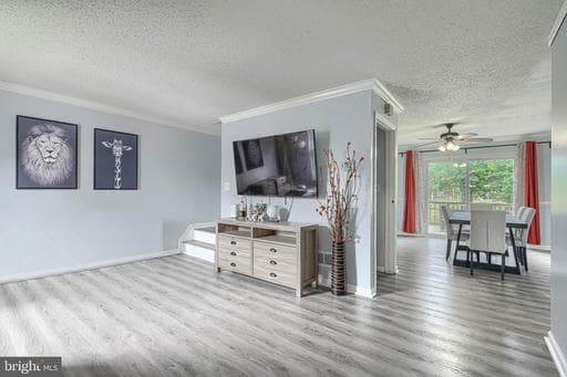 3633 TOREY LN, ABINGDON, MD, 21009