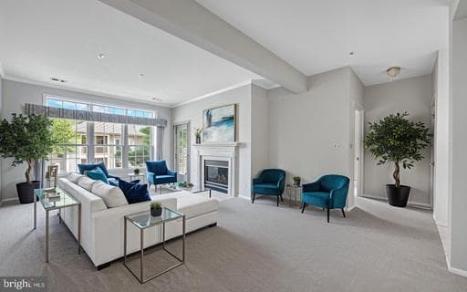 9219 GROFFS MILL DR #9219, OWINGS MILLS, MD, 21117
