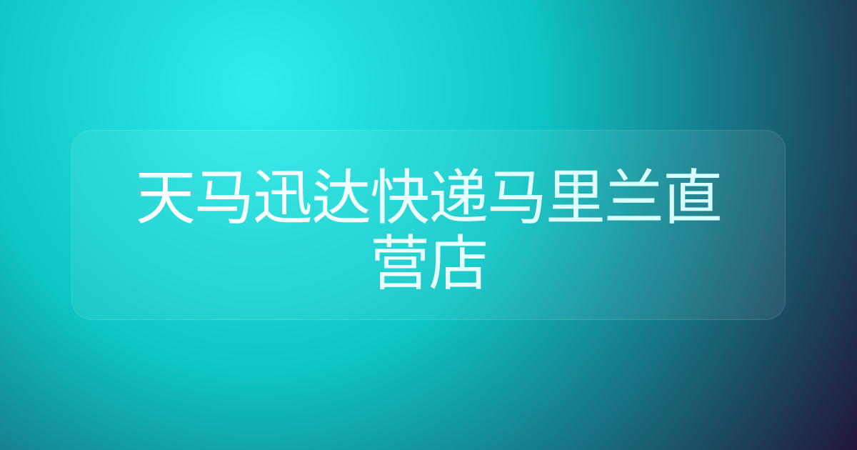 天马迅达快递马里兰直营店