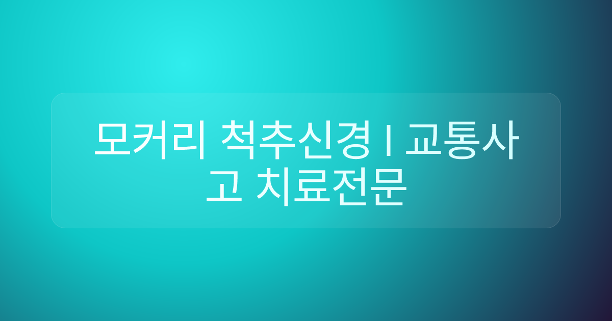 모커리 척추신경 l 교통사고 치료전문