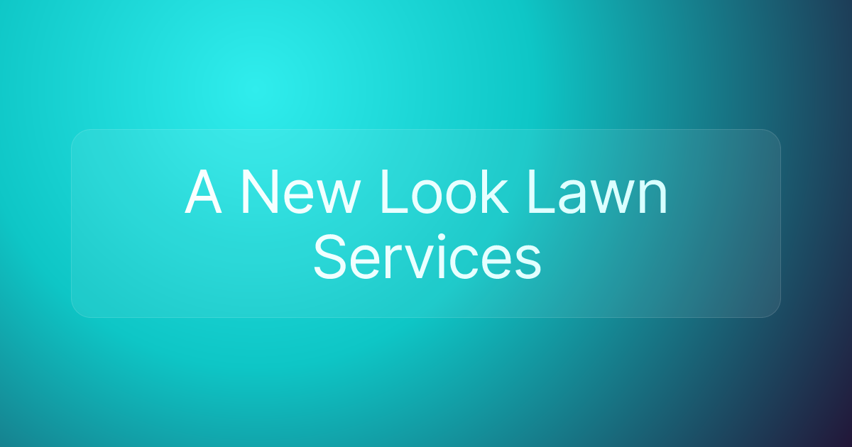 A New Look Lawn Services