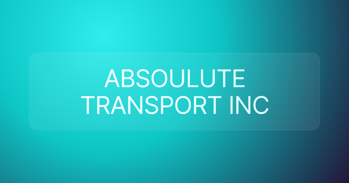 ABSOULUTE TRANSPORT INC
