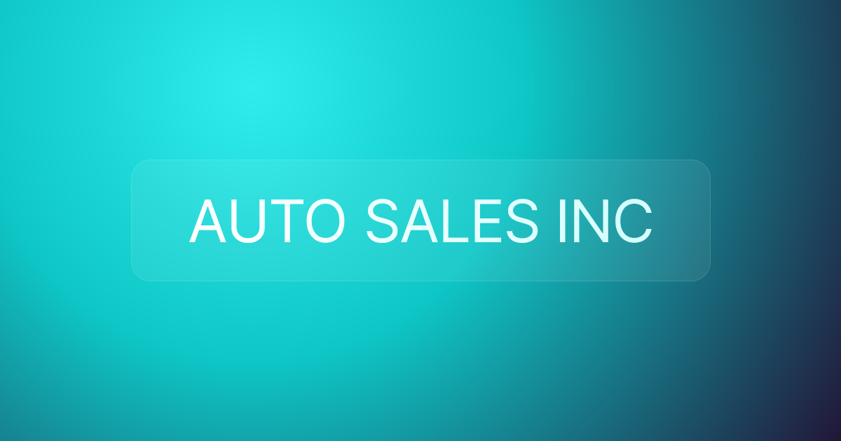 AUTO SALES INC