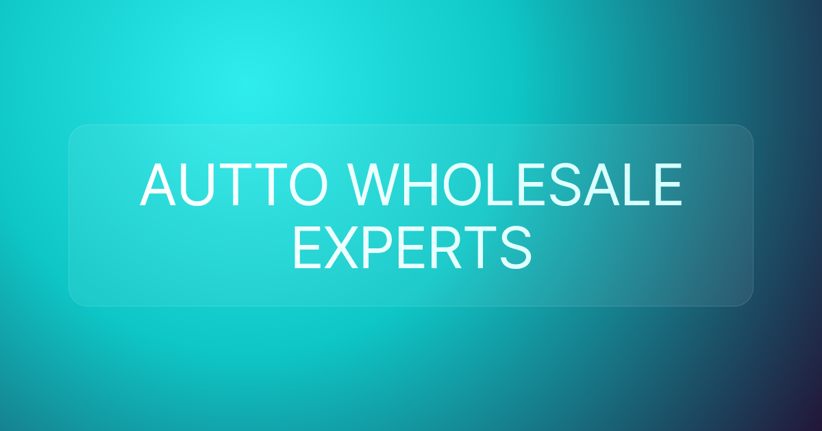 AUTTO WHOLESALE EXPERTS