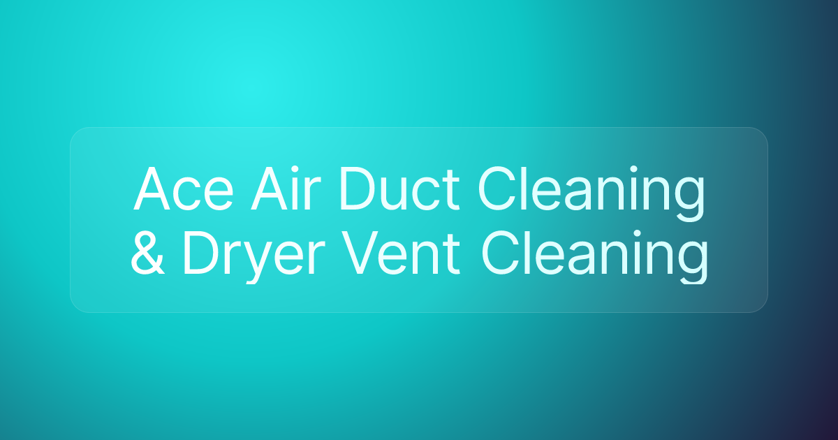 Ace Air Duct Cleaning & Dryer Vent Cleaning