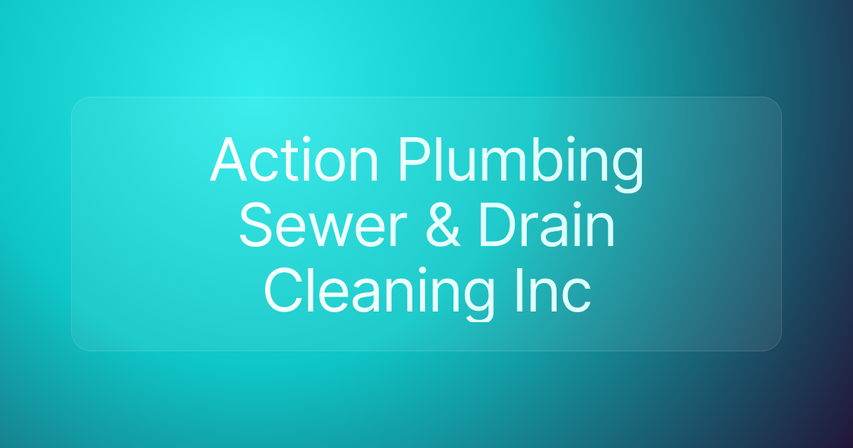 Action Plumbing Sewer & Drain Cleaning Inc