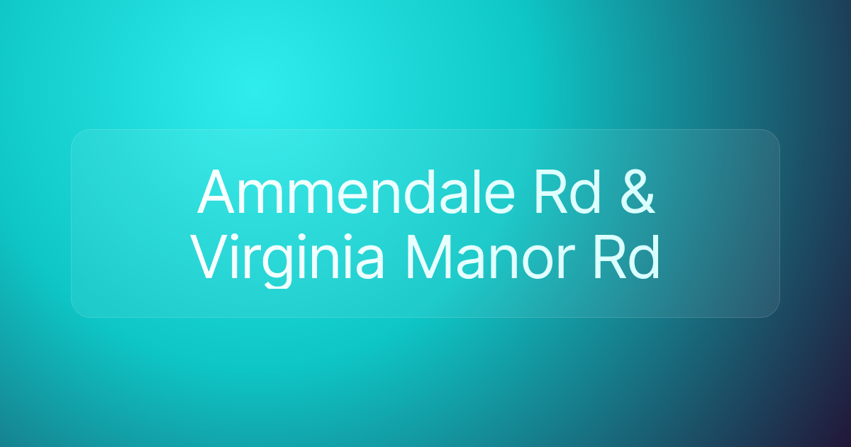 Ammendale Rd & Virginia Manor Rd