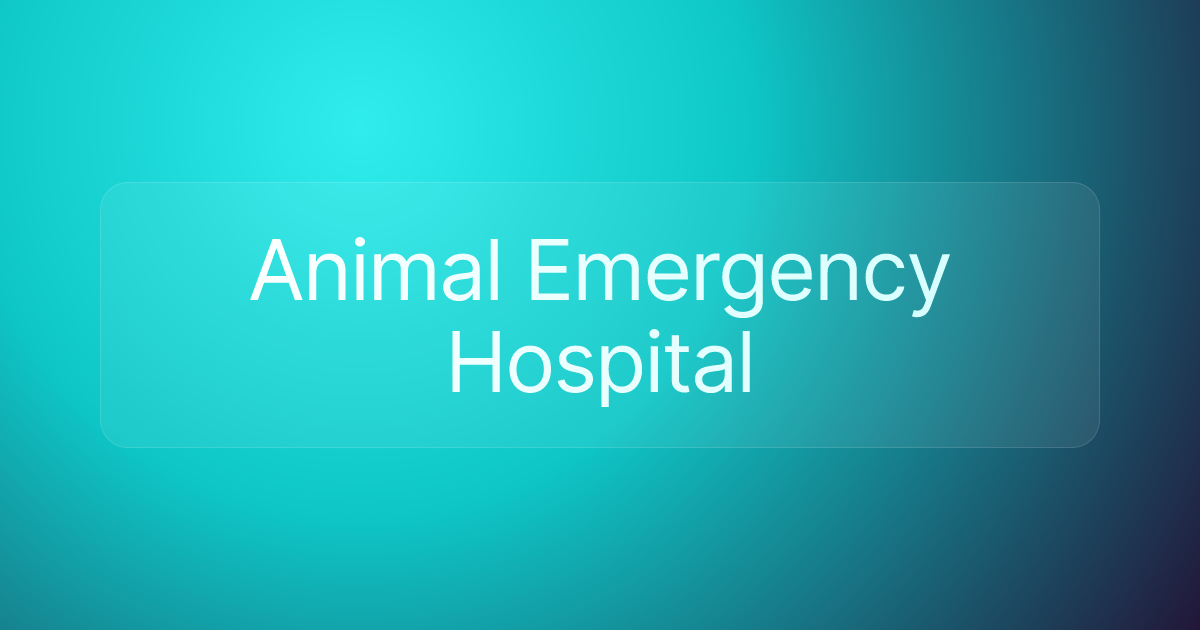 Animal Emergency Hospital
