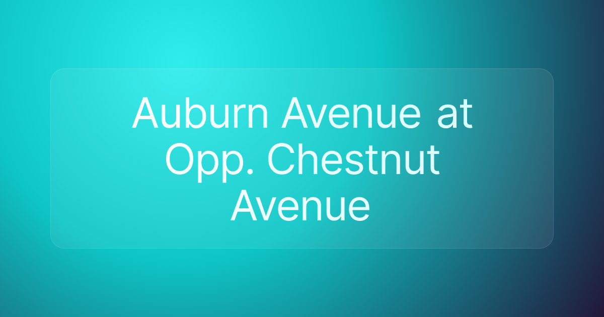 Auburn Avenue at Opp. Chestnut Avenue