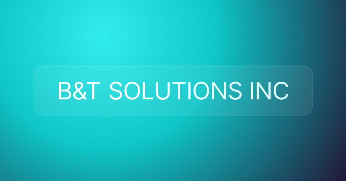 B&T SOLUTIONS INC