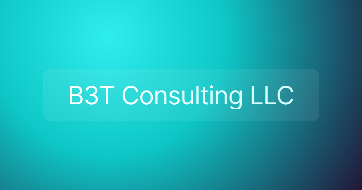 B3T Consulting LLC