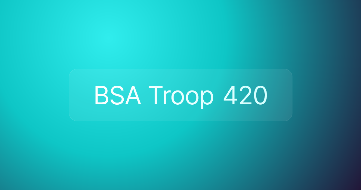 BSA Troop 420