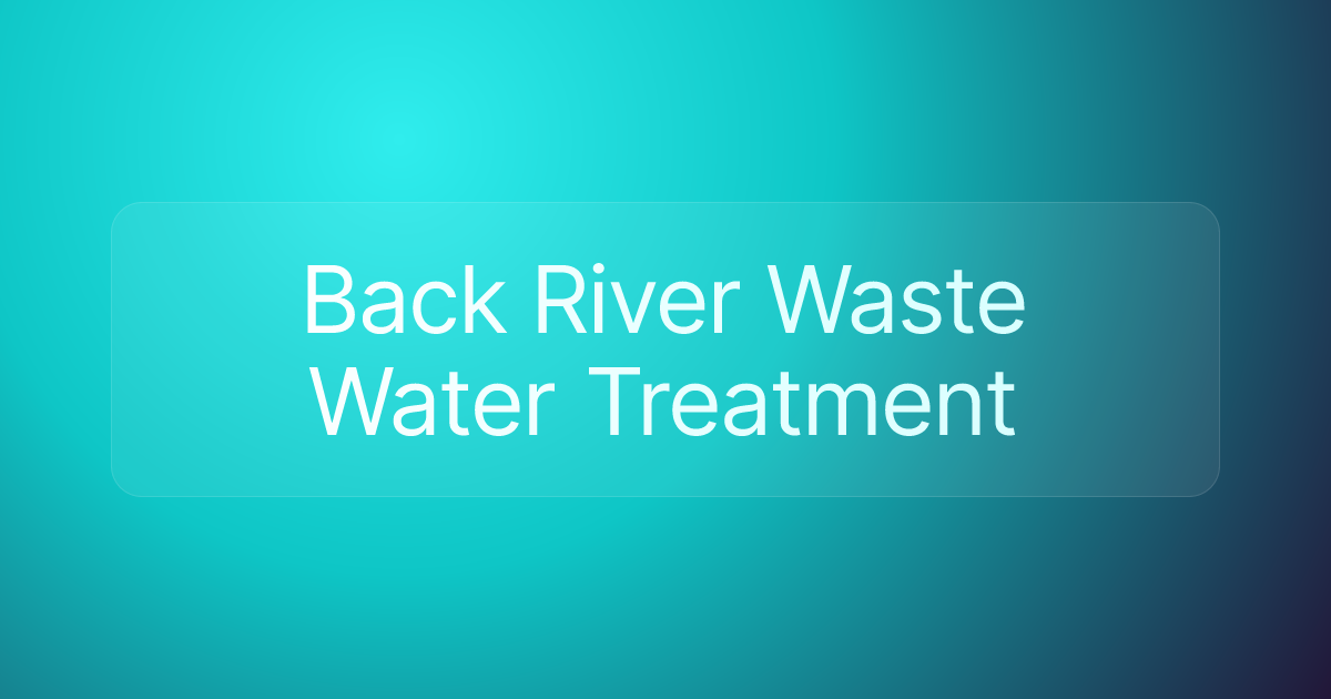 Back River Waste Water Treatment
