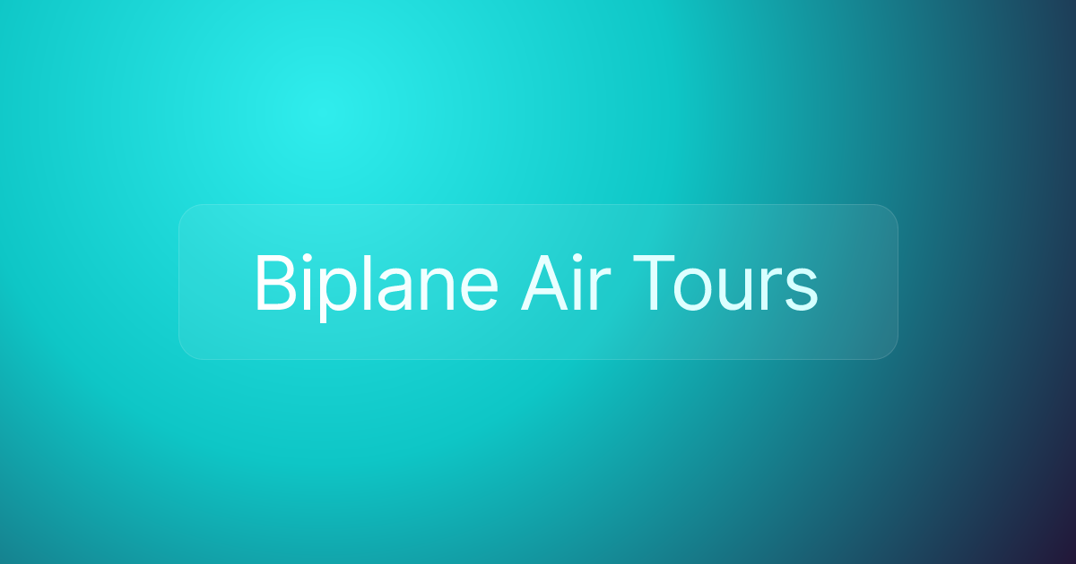 Biplane Air Tours
