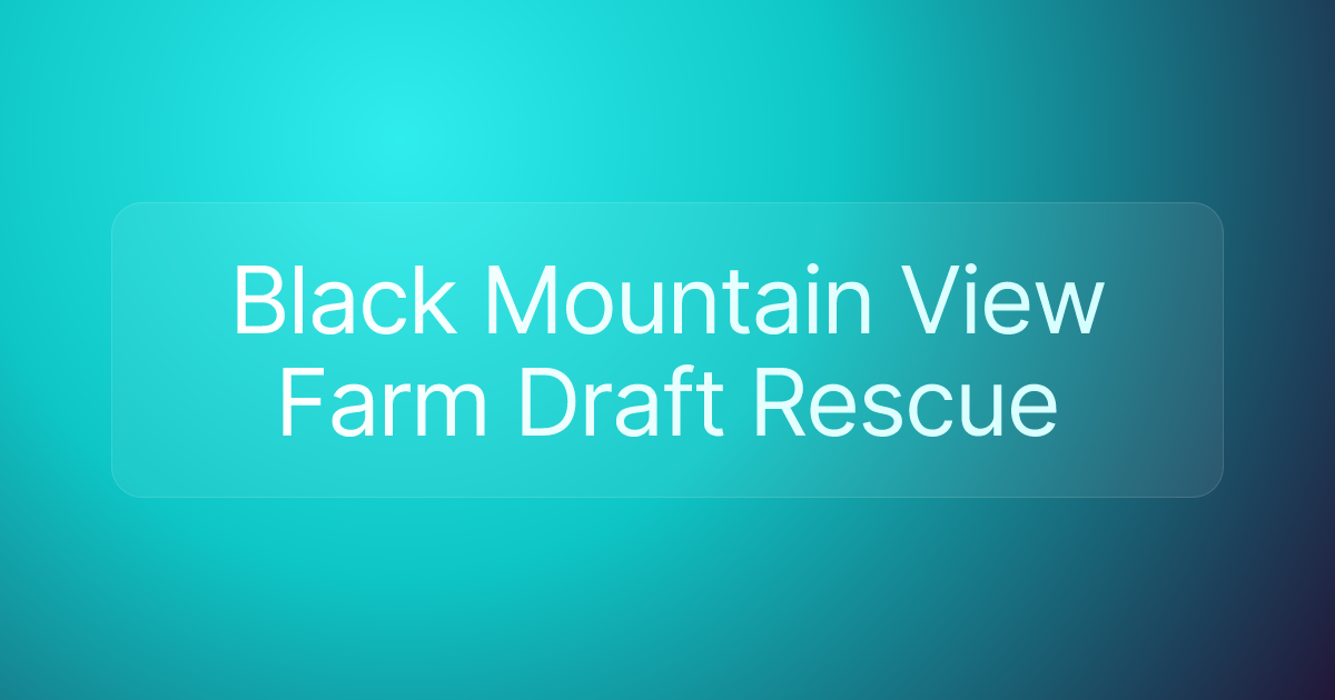 Black Mountain View Farm Draft Rescue