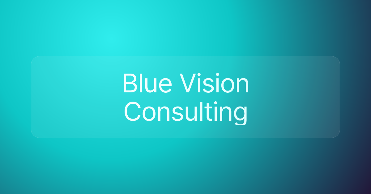 Blue Vision Consulting