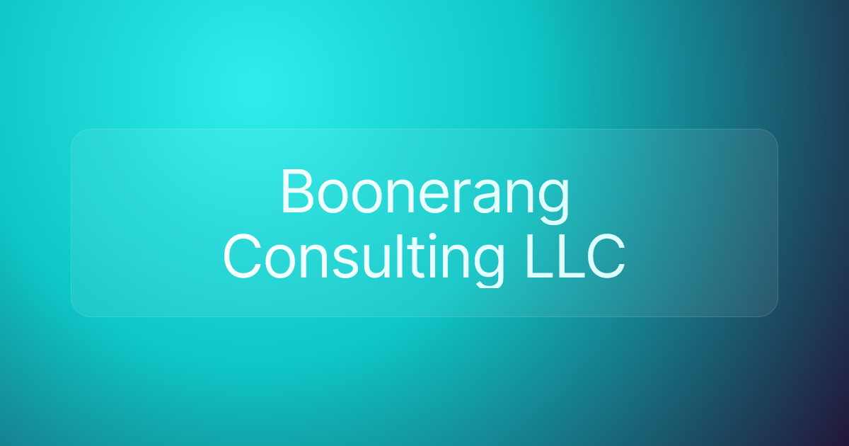 Boonerang Consulting LLC
