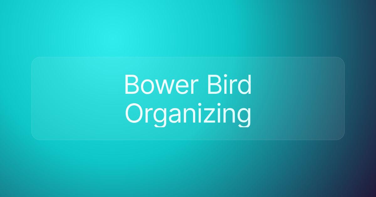 Bower Bird Organizing