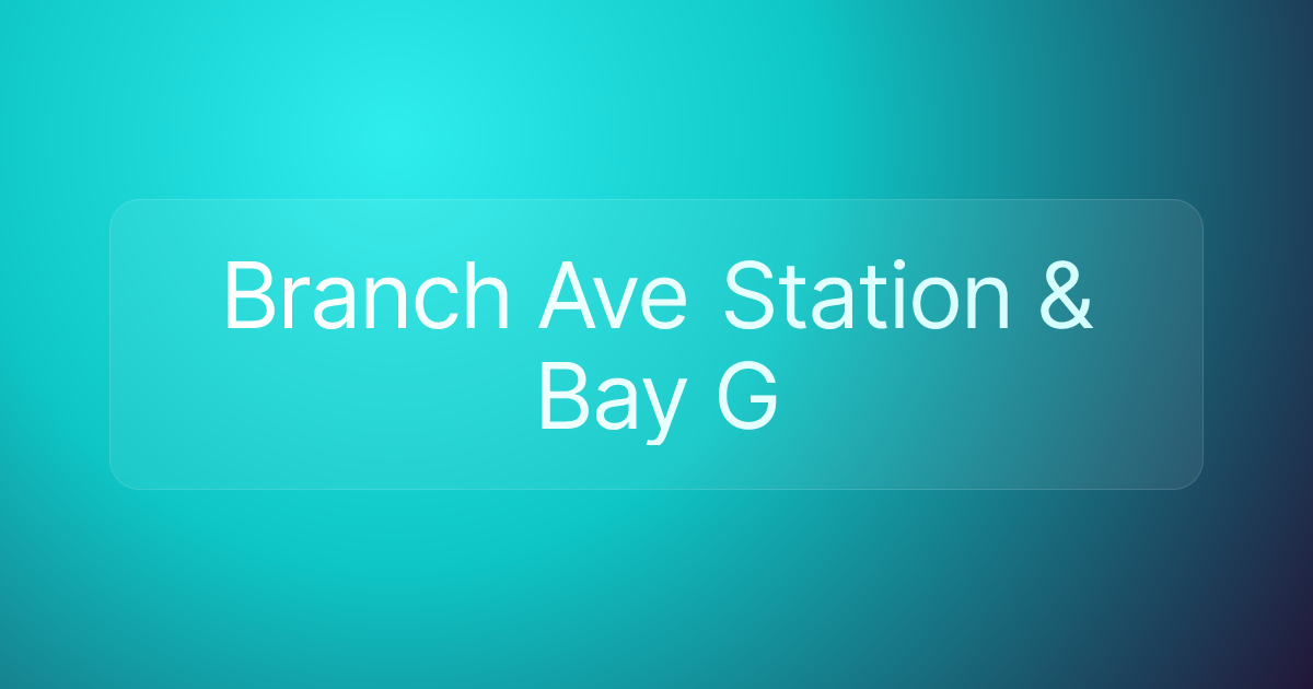 Branch Ave Station & Bay G