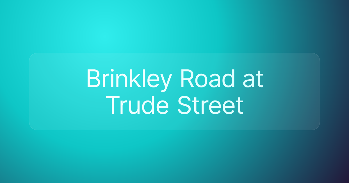 Brinkley Road at Trude Street