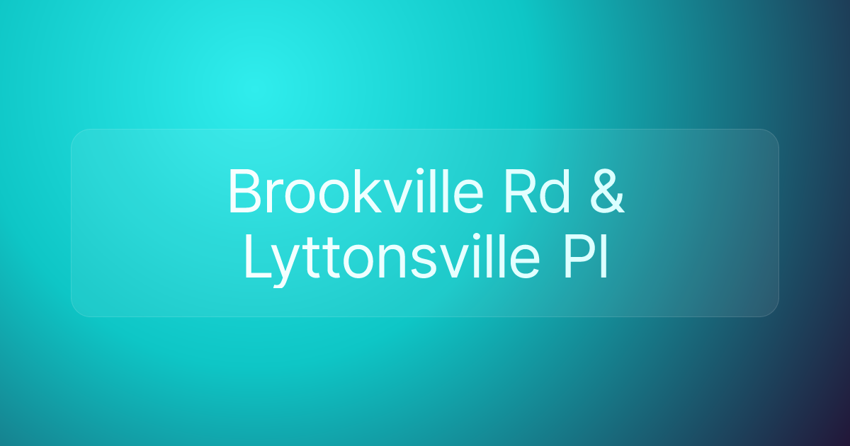 Brookville Rd & Lyttonsville Pl