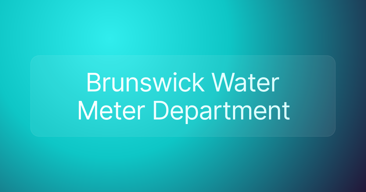 Brunswick Water Meter Department