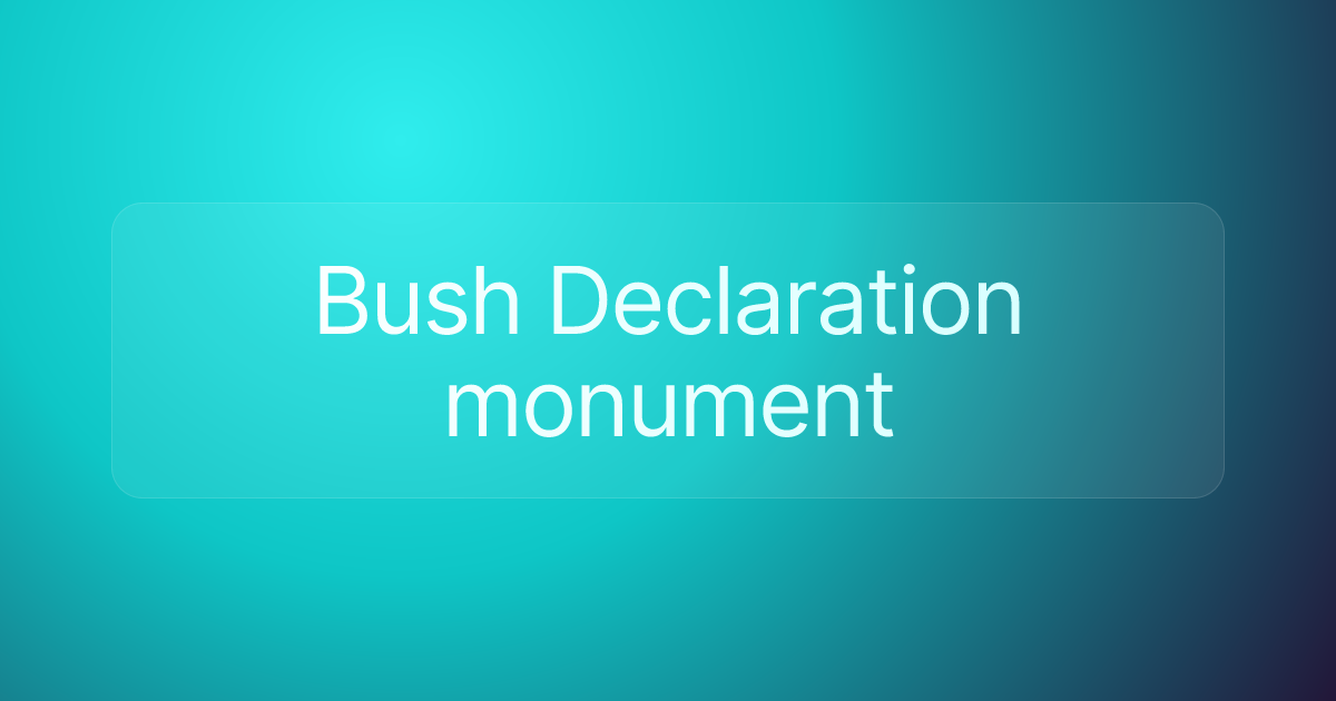 Bush Declaration monument