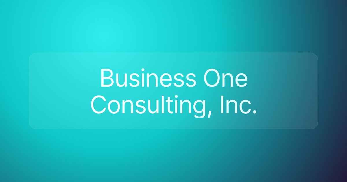 Business One Consulting, Inc.