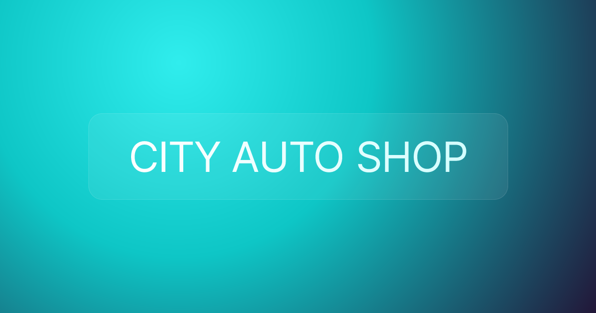 CITY AUTO SHOP