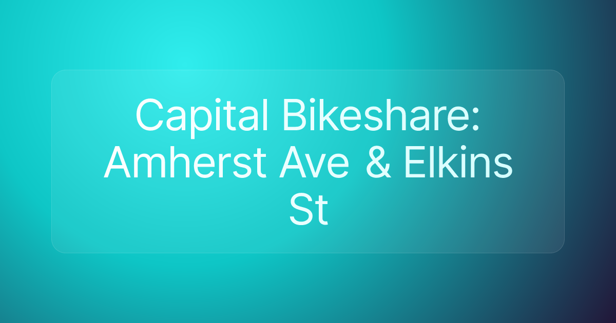Capital Bikeshare: Amherst Ave & Elkins St