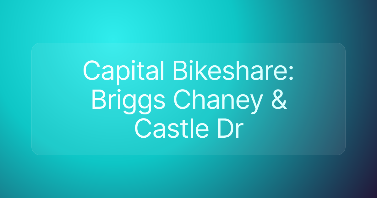 Capital Bikeshare: Briggs Chaney & Castle Dr