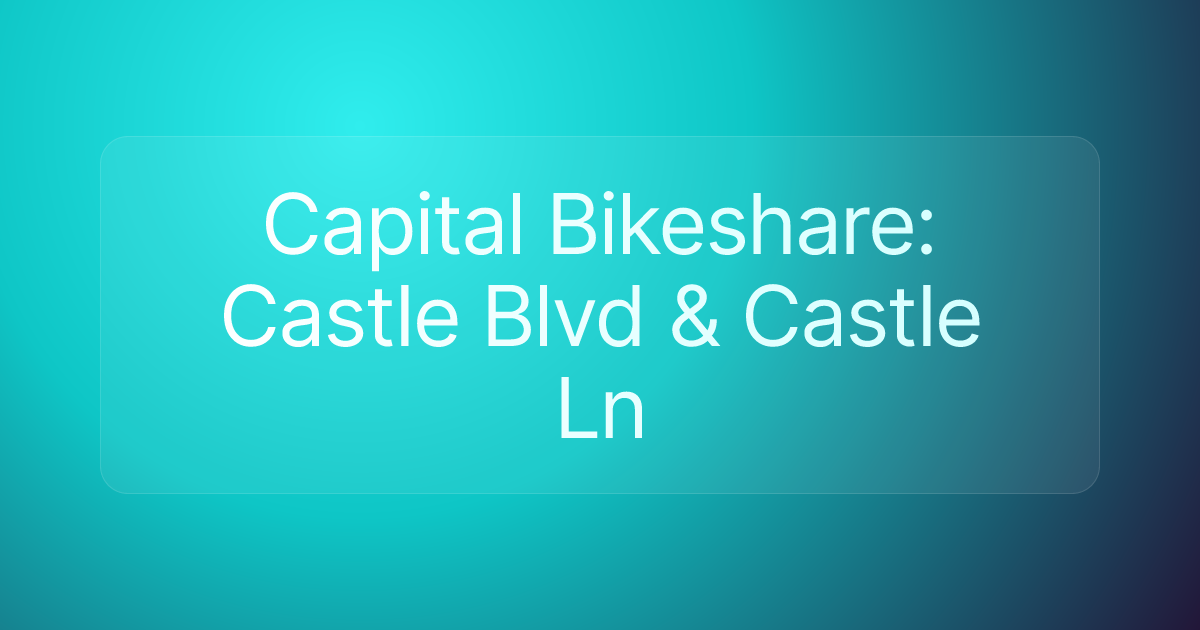 Capital Bikeshare: Castle Blvd & Castle Ln