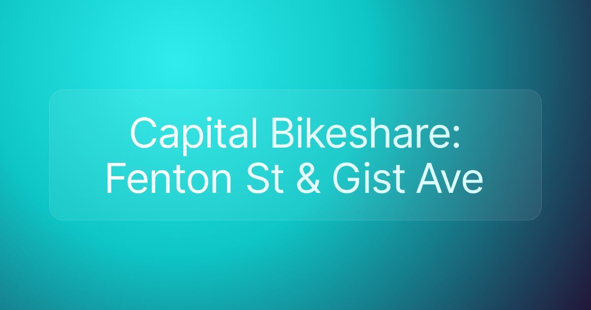 Capital Bikeshare: Fenton St & Gist Ave