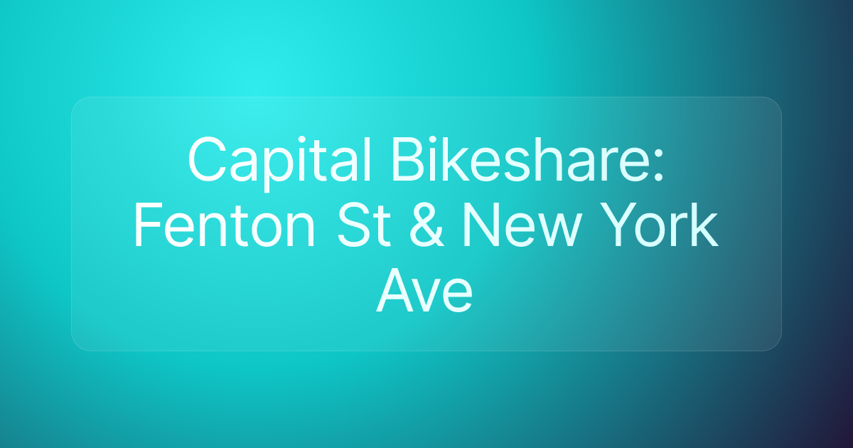 Capital Bikeshare: Fenton St & New York Ave