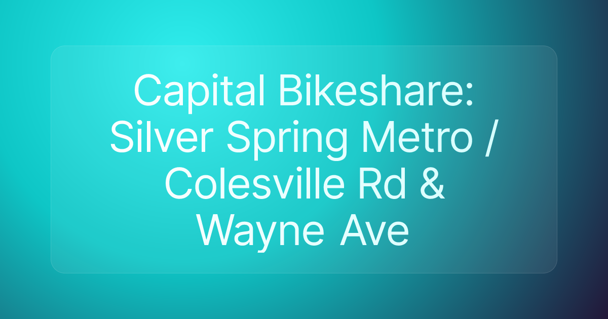 Capital Bikeshare: Silver Spring Metro / Colesville Rd & Wayne Ave