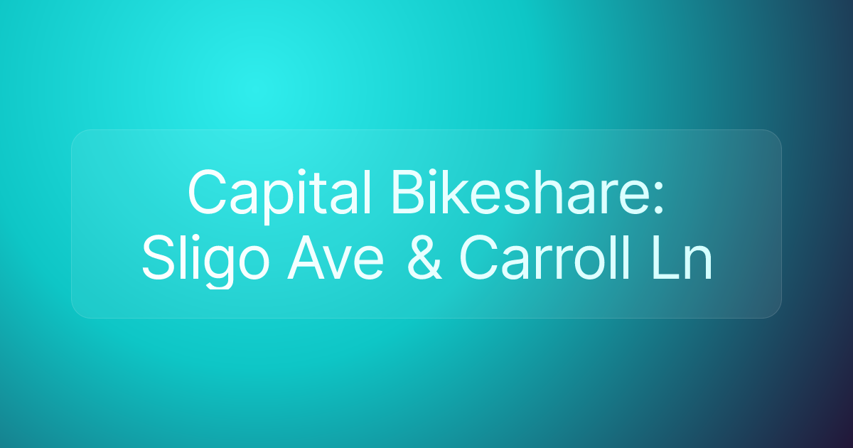 Capital Bikeshare: Sligo Ave & Carroll Ln