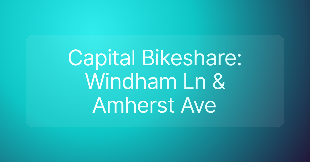 Capital Bikeshare: Windham Ln & Amherst Ave