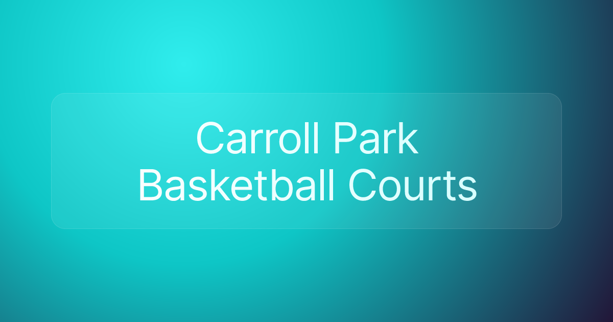 Carroll Park Basketball Courts