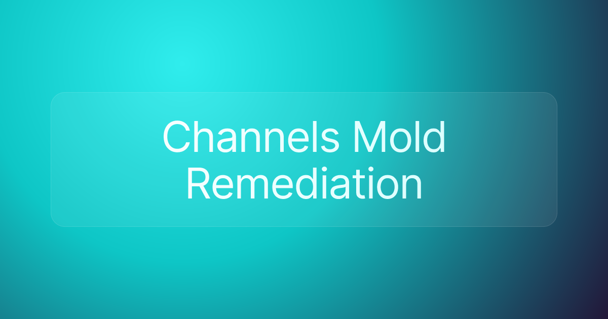 Channels Mold Remediation