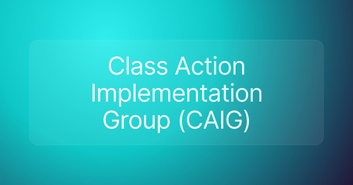 Class Action Implementation Group (CAIG)