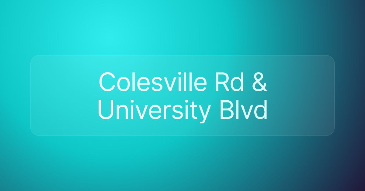 Colesville Rd & University Blvd