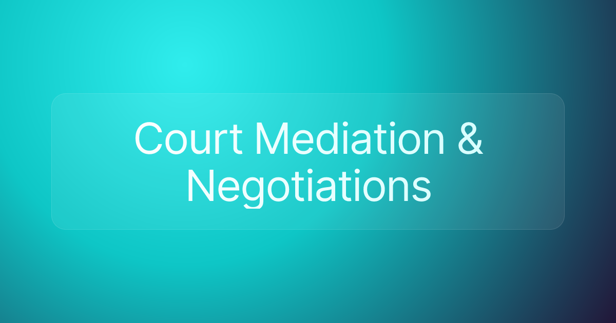 Court Mediation & Negotiations