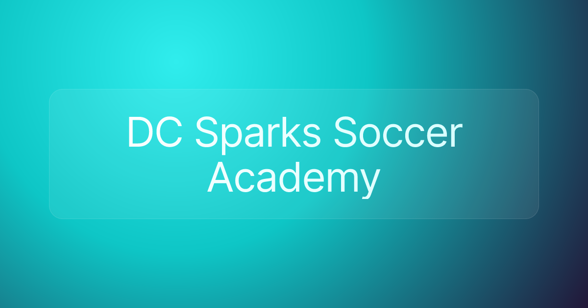 DC Sparks Soccer Academy