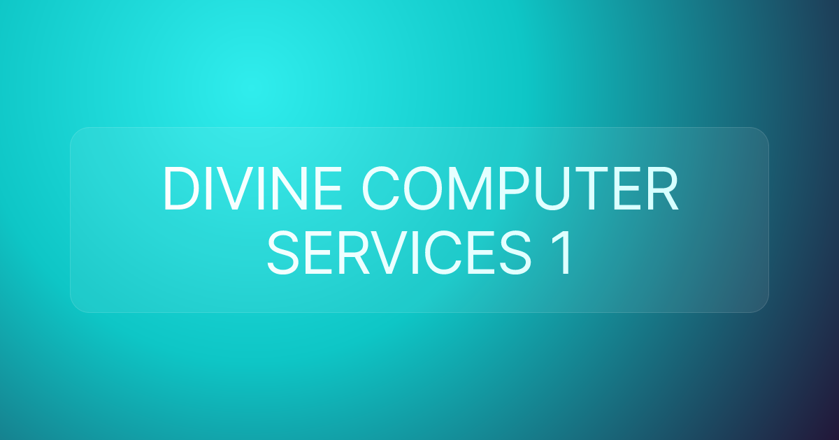 DIVINE COMPUTER SERVICES 1