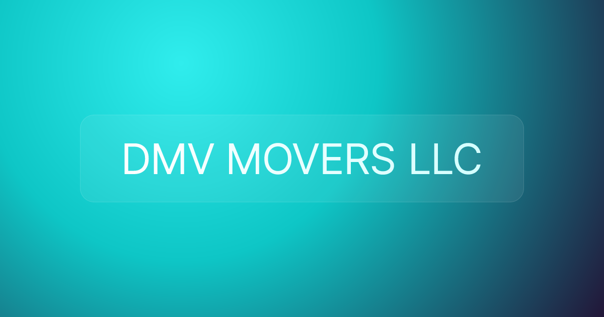 DMV MOVERS LLC