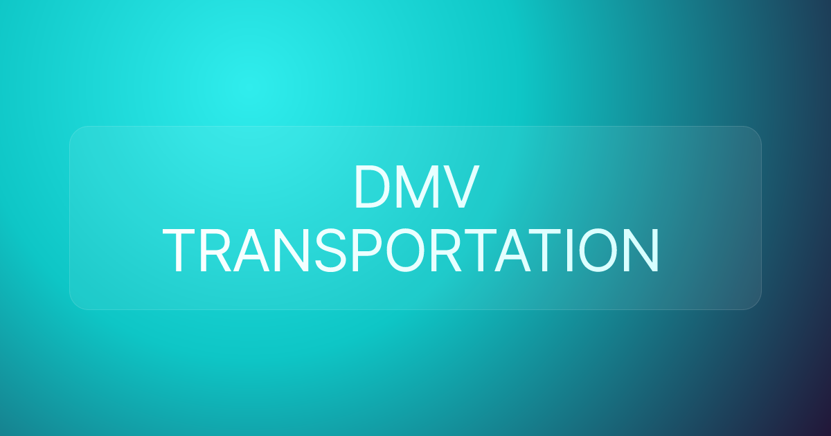 DMV TRANSPORTATION