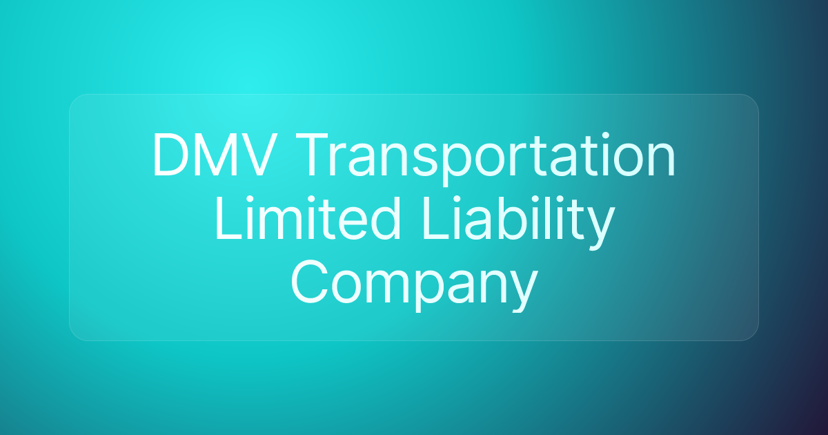 DMV Transportation Limited Liability Company