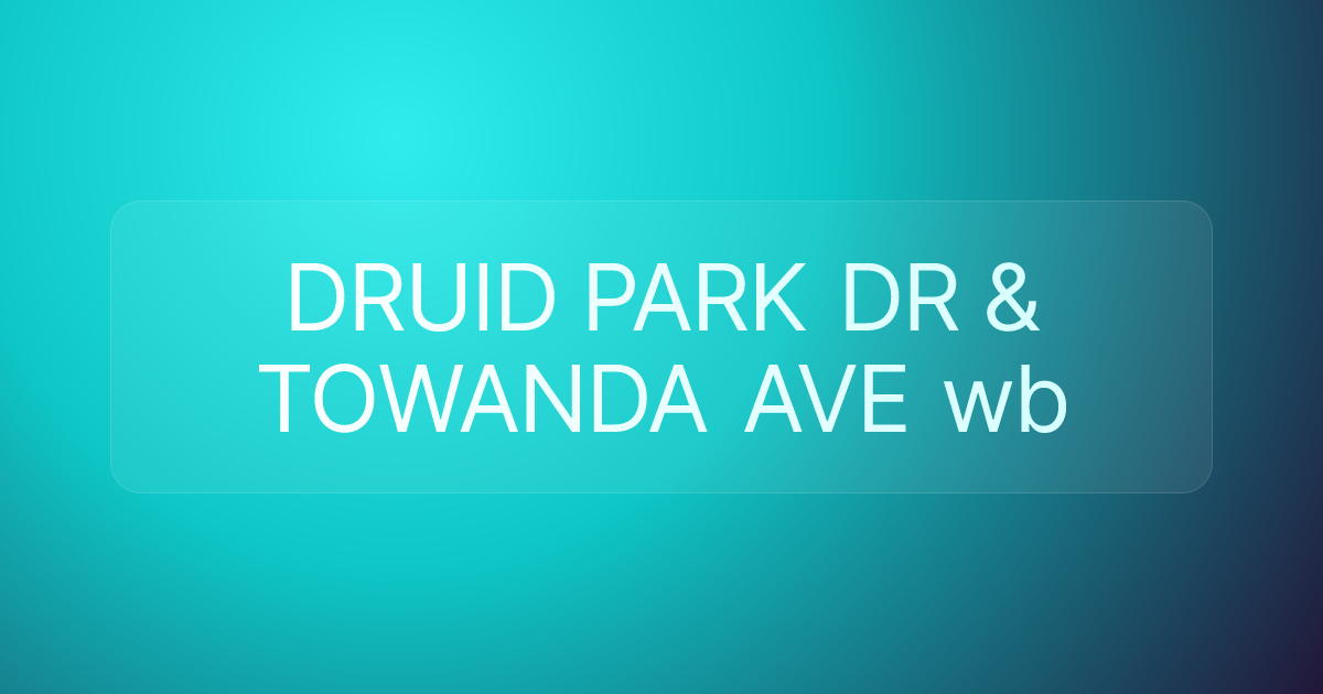 DRUID PARK DR & TOWANDA AVE wb