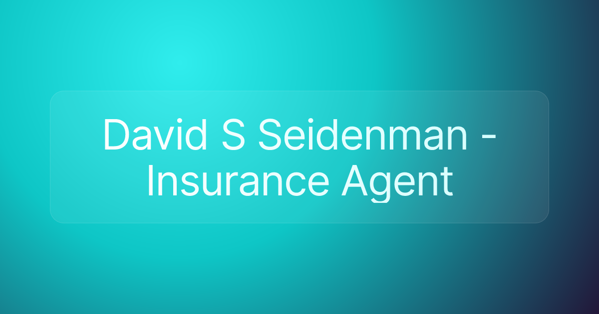 David S Seidenman - Insurance Agent