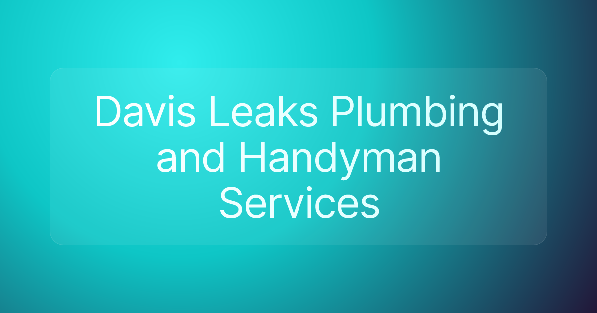 Davis Leaks Plumbing and Handyman Services